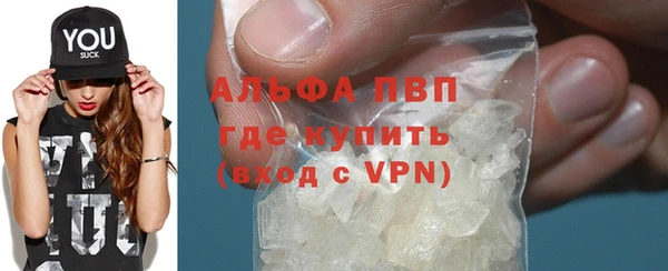 СК Ельня