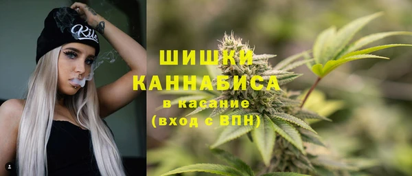 хмурый Дмитровск