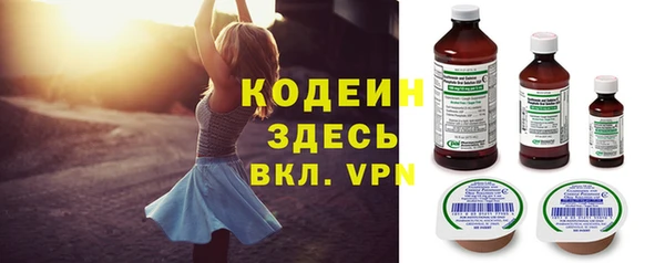 хмурый Дмитровск