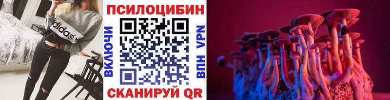 Купить где  Калач  Галлюциногенные грибы Psilocybine cubensis 